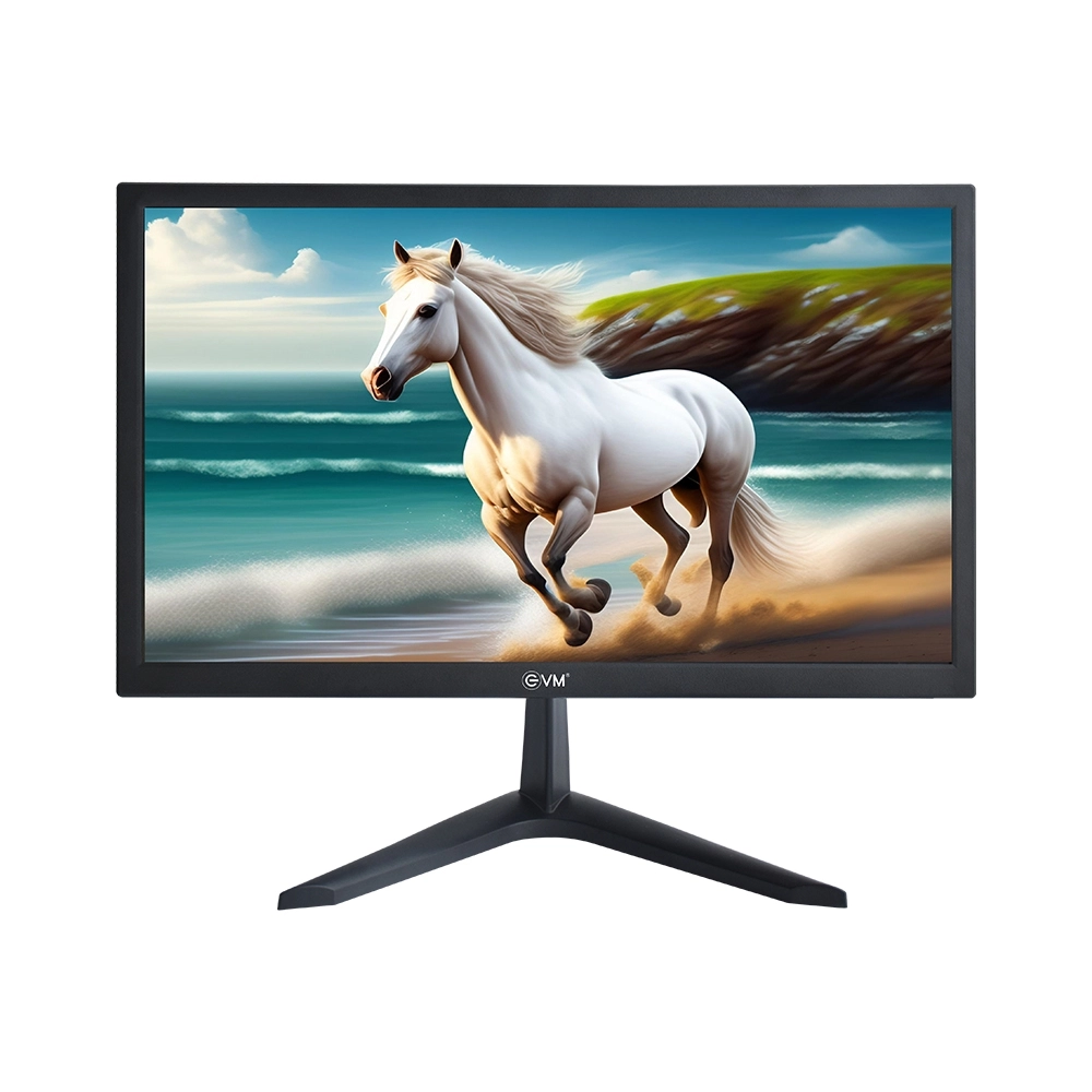 EVM LED Monitor 20" HD with HDMI | VGA (Grand 195) view 2